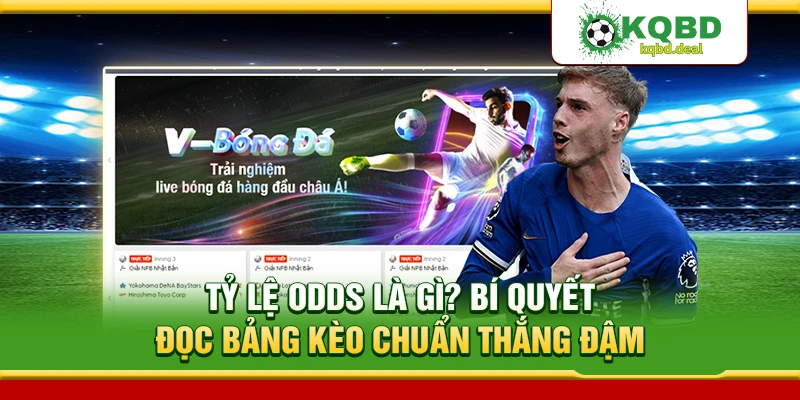 Tỷ Lệ Odds Là Gì? Bí Quyết Đọc Bảng Kèo Chuẩn Nhất